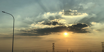 岱山小麦技术优势